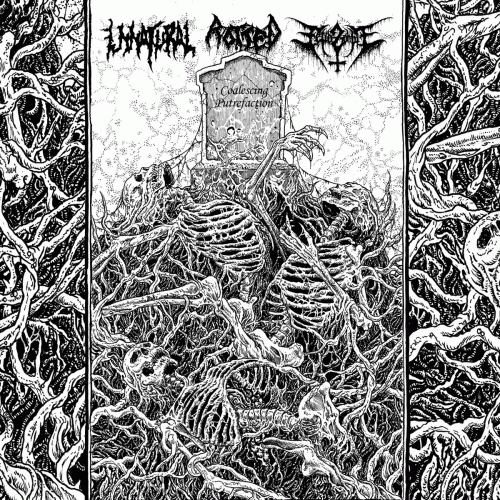 Rotted : Coalescing Putrefaction
